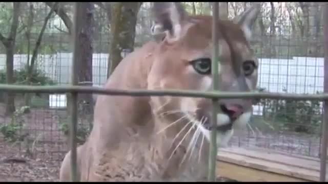 0TqCT1mebc516e67e1a3da7.mp4